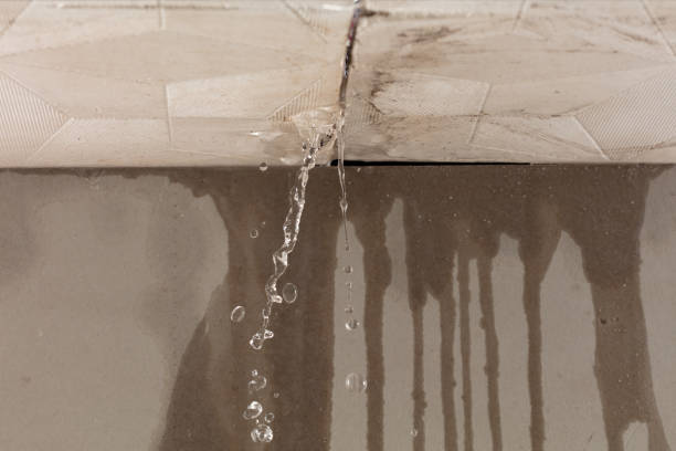 Professional Flood Damage Cleanup technician working in Monroeville, OH